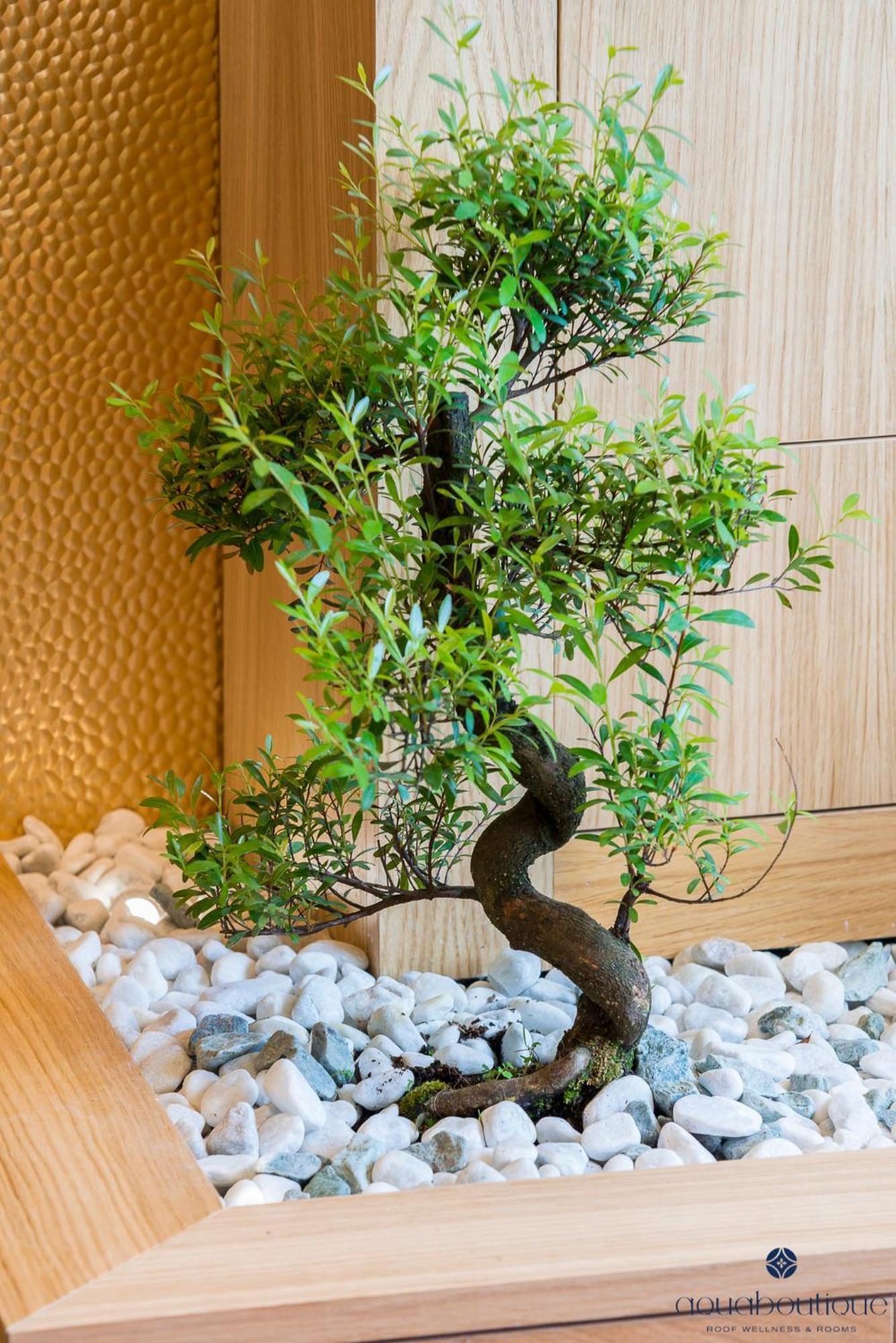 Aquaboutique Wellness&Spa Vietri Kültér fotó